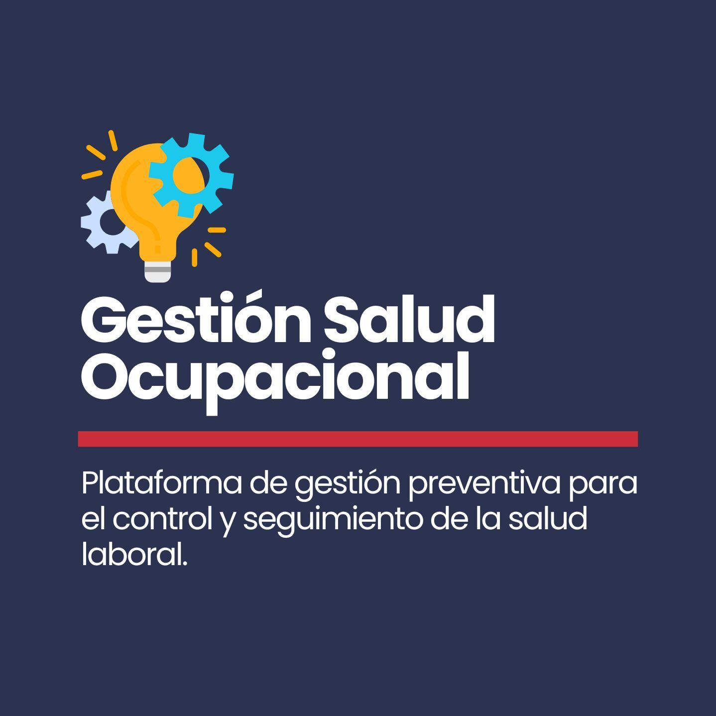 Gestión Salud Ocupacional 